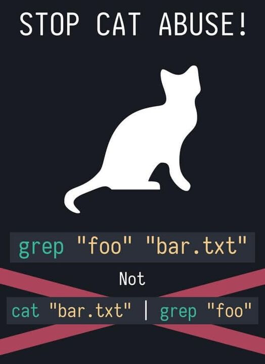 Meme Stop Cat Abuse: usar grep directamente sobre el archivo