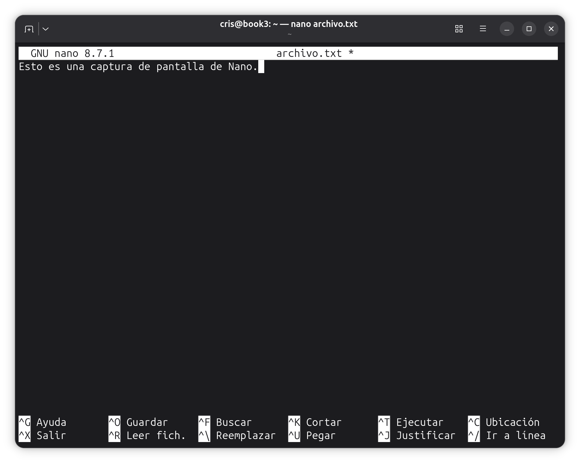 Nano editando archivo.txt en una terminal