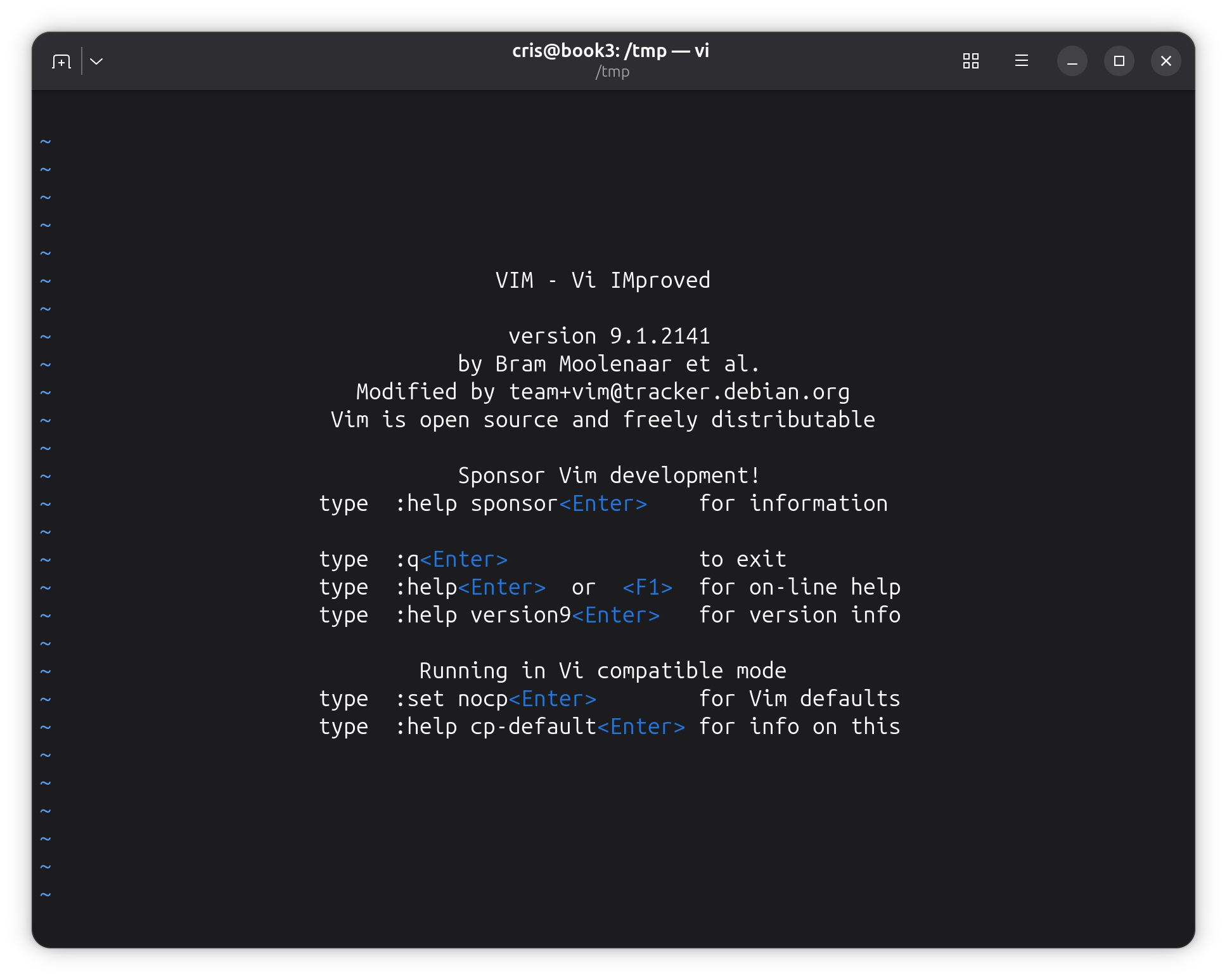Pantalla inicial de Vim al ejecutar vi en la máquina virtual